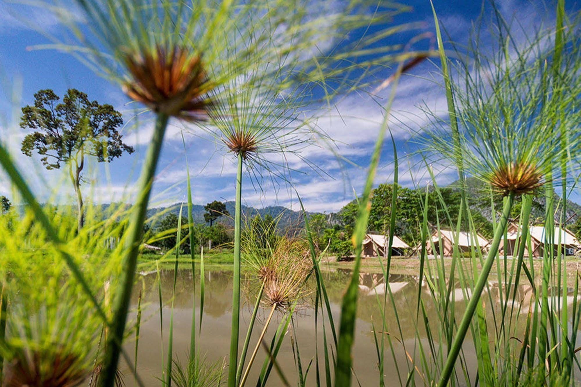 Lala Mukha Tented Resort Khao Yai Mu Si Exterior photo